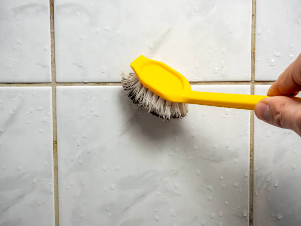 Best Mold Remediation for Schools in Kdeer, IL