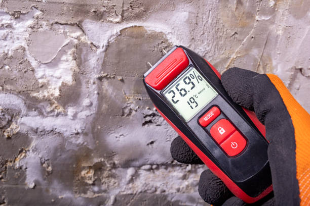 Best Post-Remediation Services in Kdeer, IL