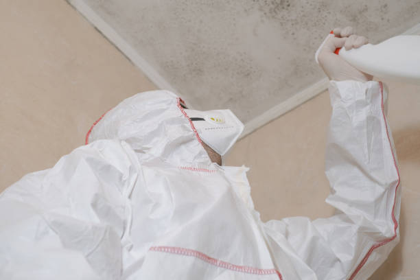 Best Commercial Mold Remediation in Kdeer, IL